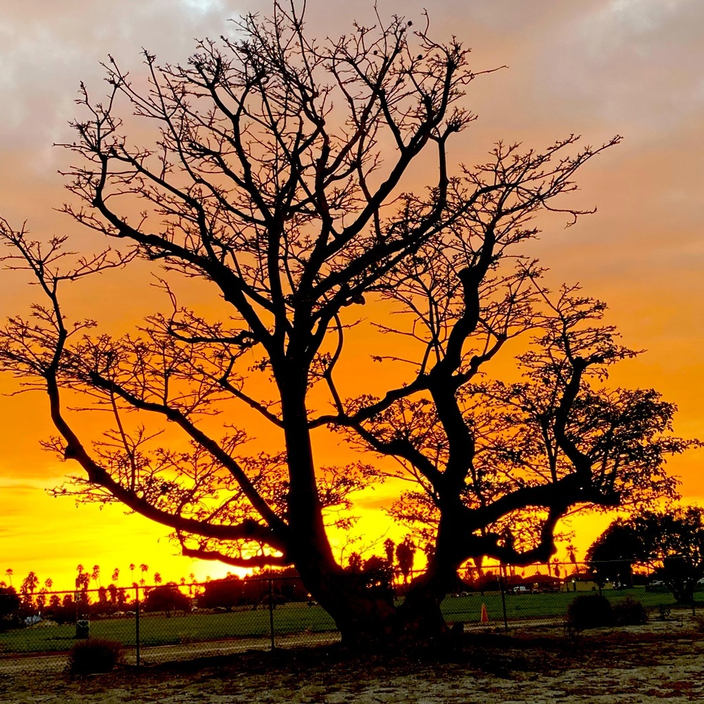 Meet your Posher, Kara